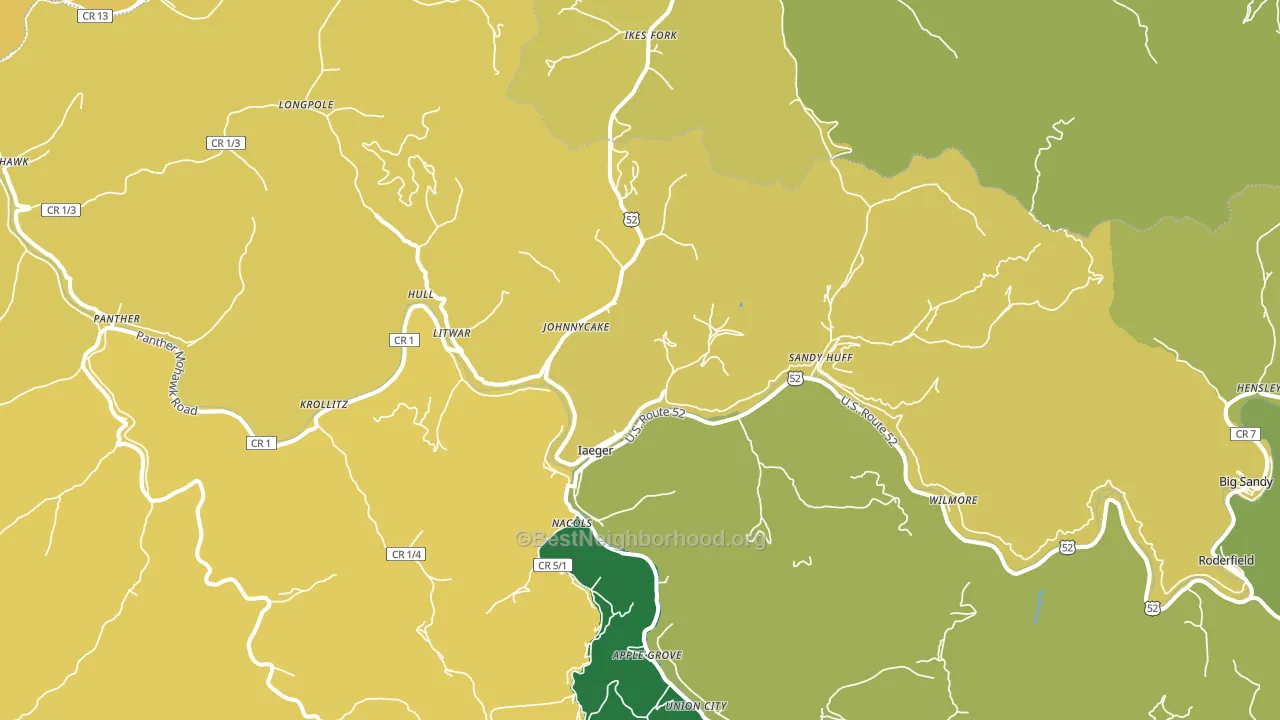 Iaeger, WV block-group voter-turnout map