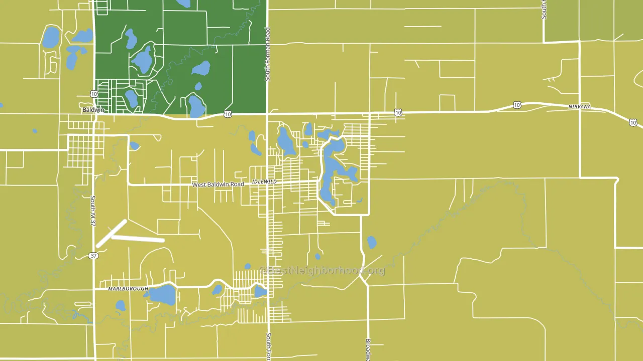 Idlewild, MI block-group voter-turnout map