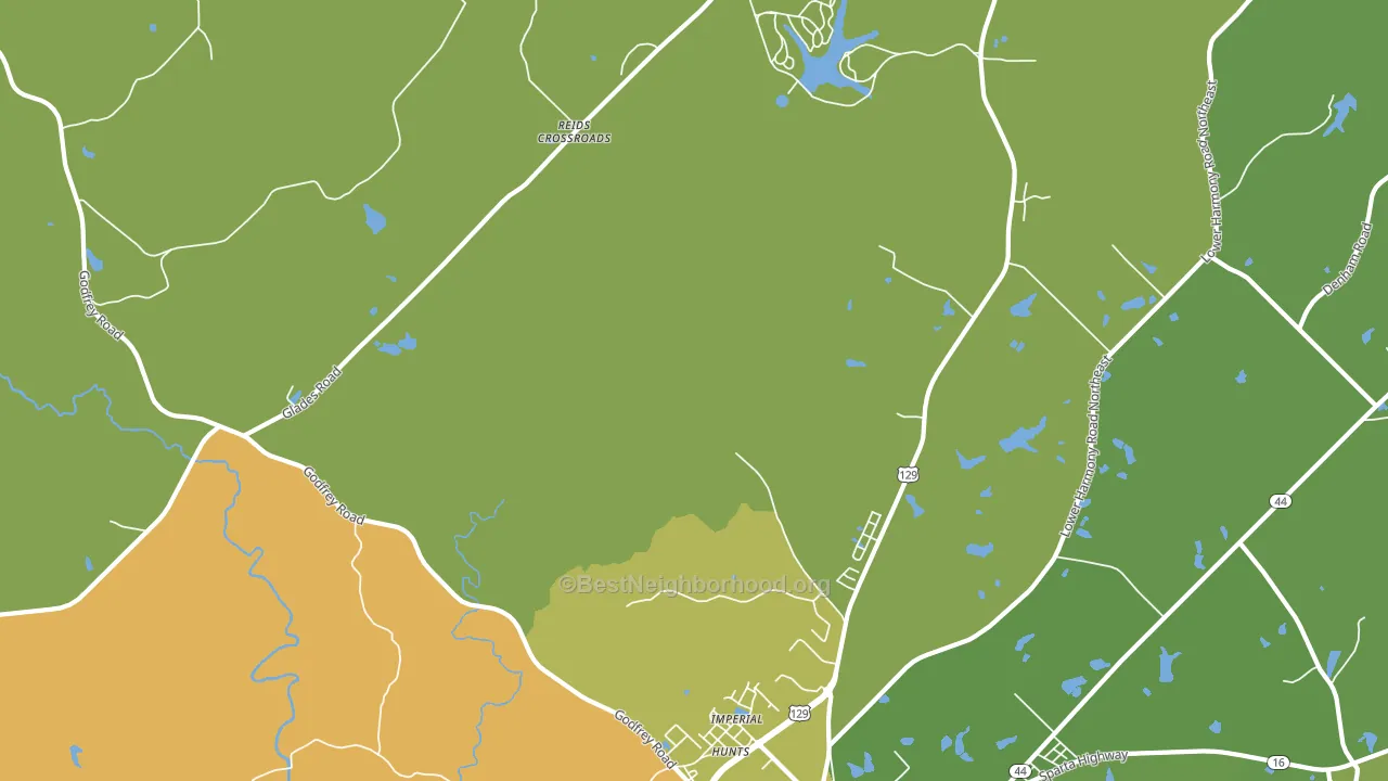 Imperial, GA block-group voter-turnout map