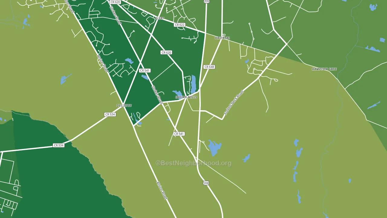 Indian Mills, NJ block-group voter-turnout map