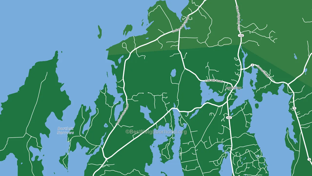 Indian Point, ME block-group voter-turnout map