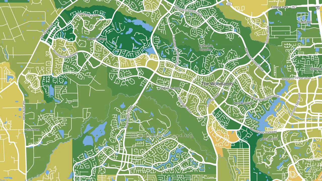 Indian Springs, The Woodlands, TX block-group voter-turnout map
