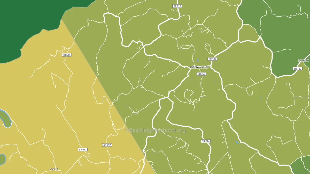 Indian Valley, VA block-group voter-turnout map