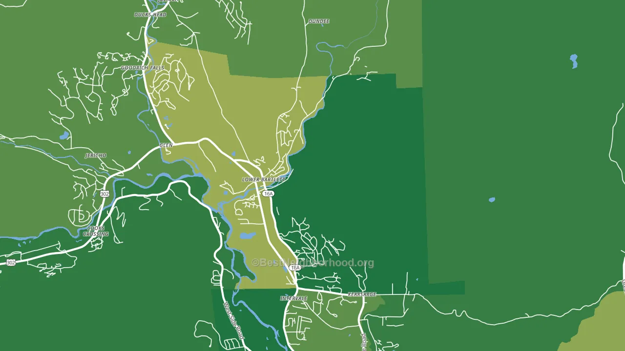 Intervale, NH block-group voter-turnout map
