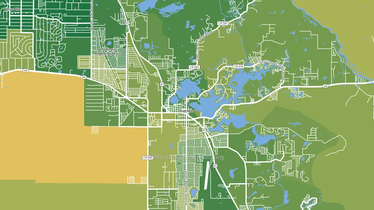 Inverness, FL block-group voter-turnout map