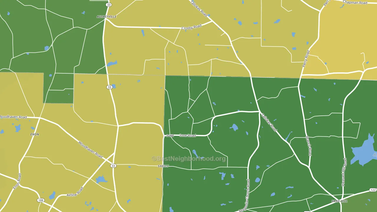 Ione, GA block-group voter-turnout map