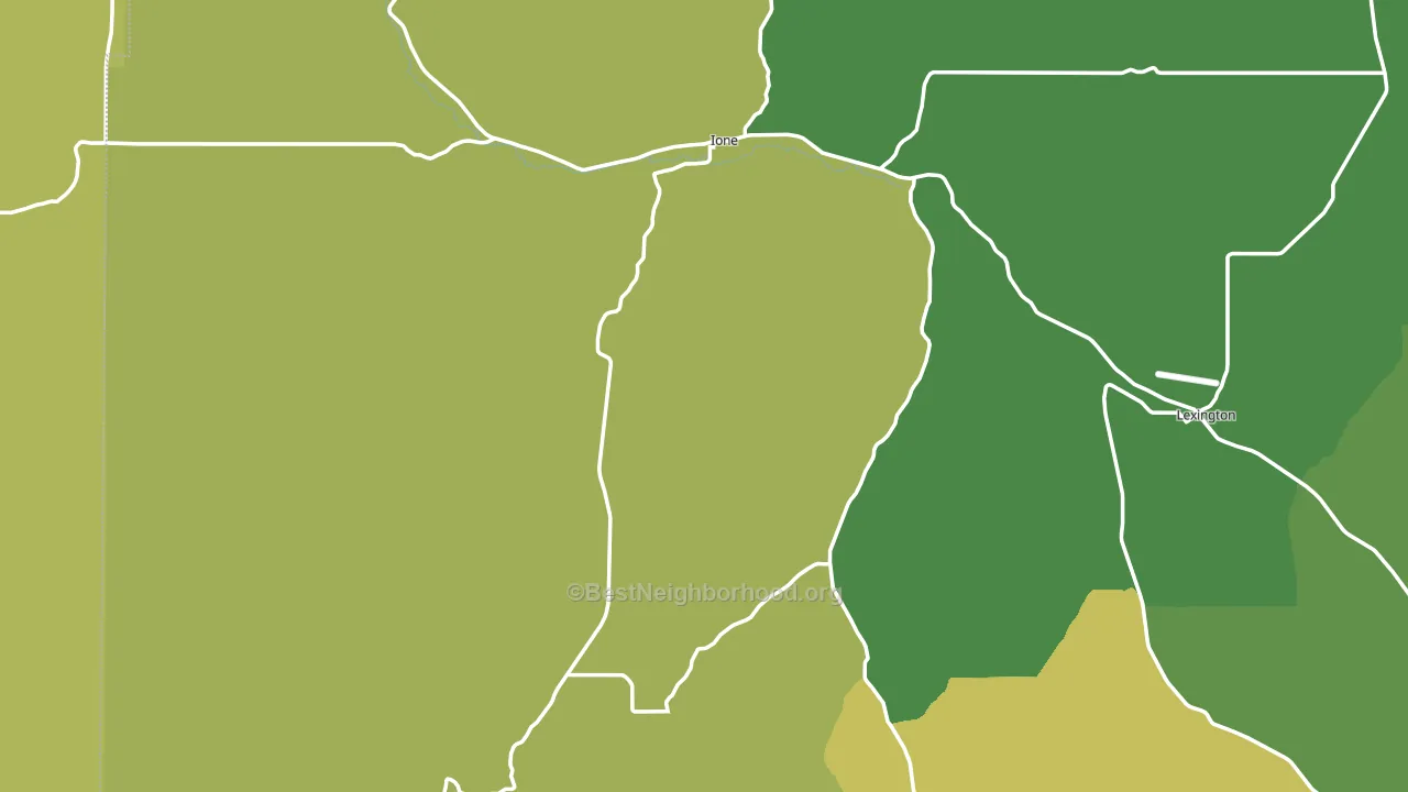 Ione, OR block-group voter-turnout map