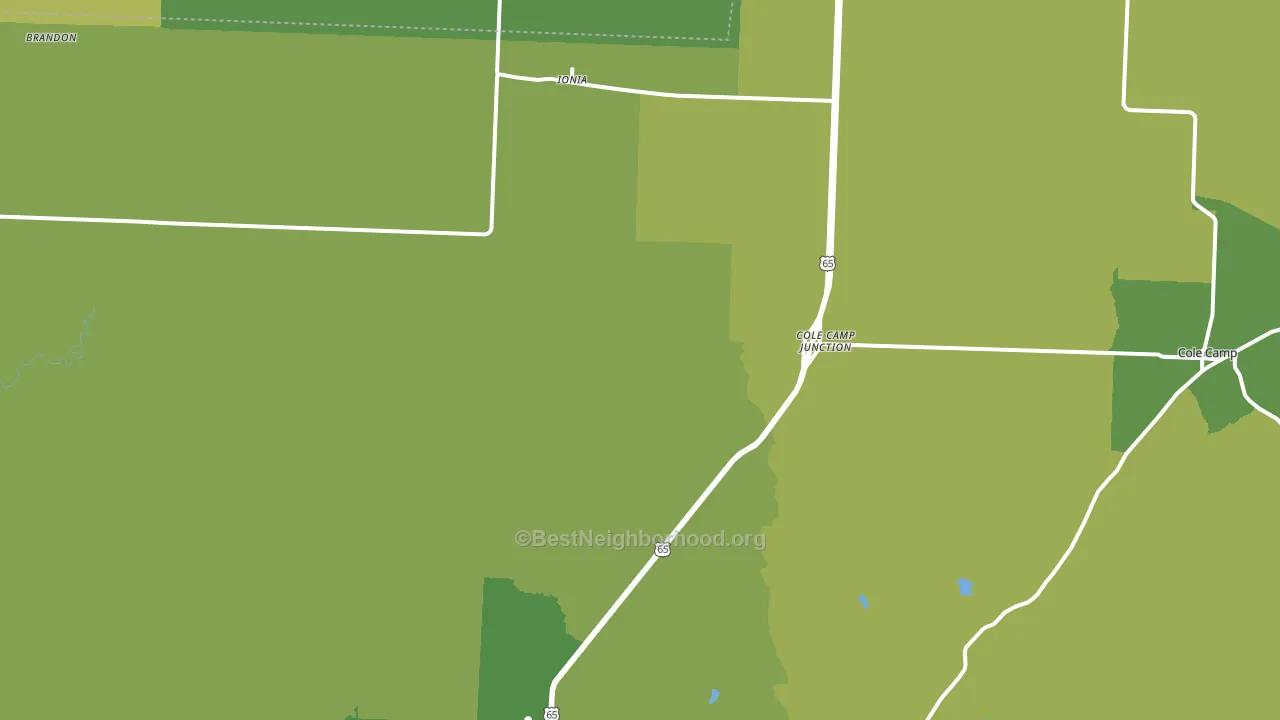 Ionia, MO block-group voter-turnout map