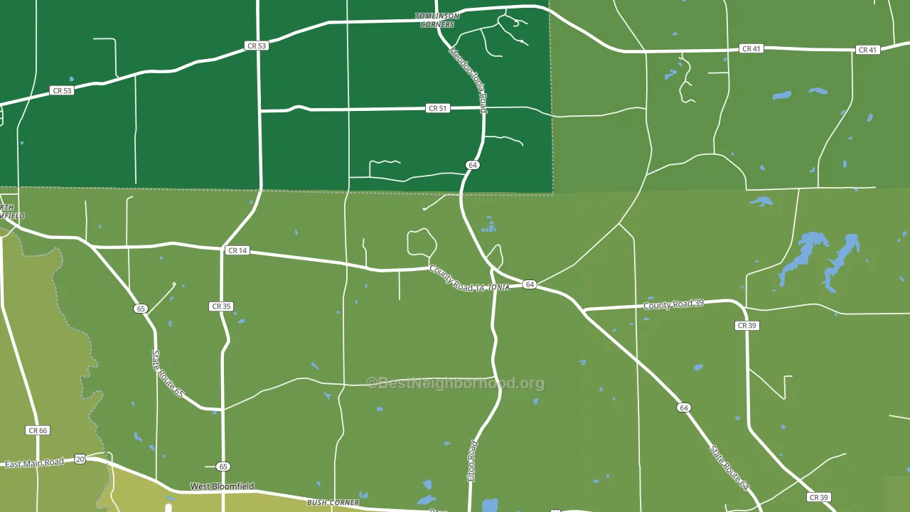 Ionia, NY block-group voter-turnout map