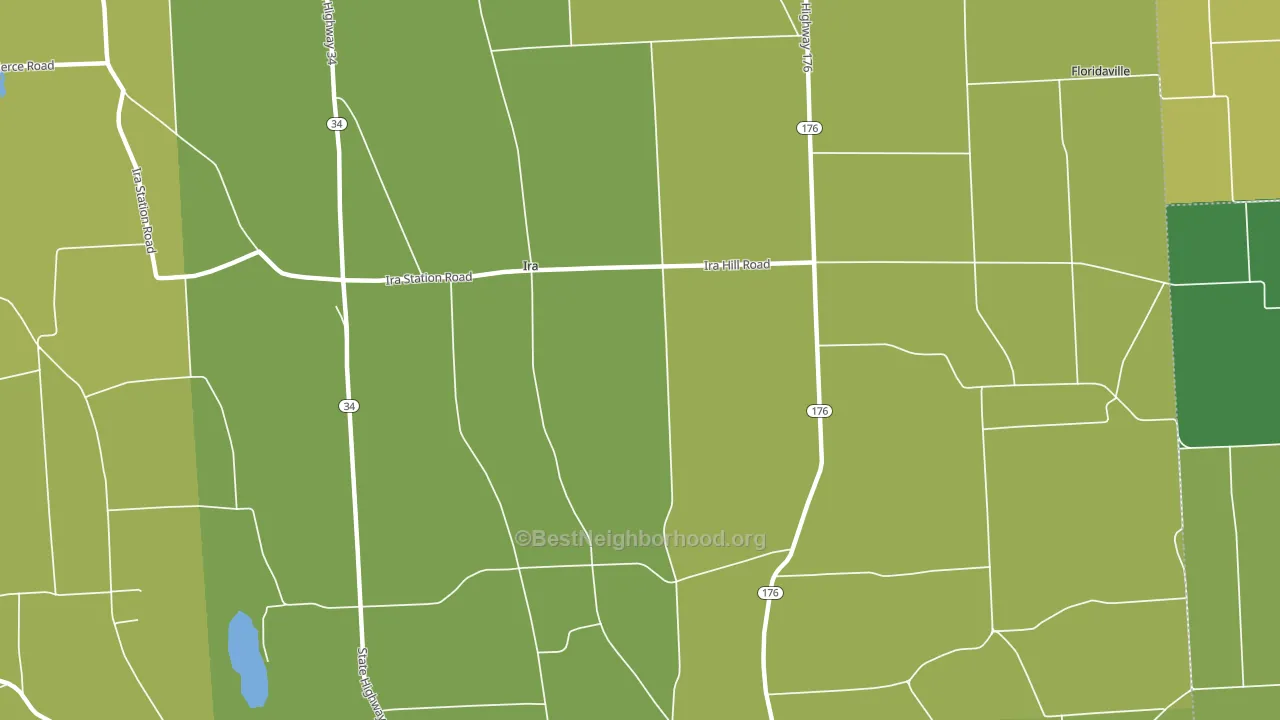 Ira, NY block-group voter-turnout map