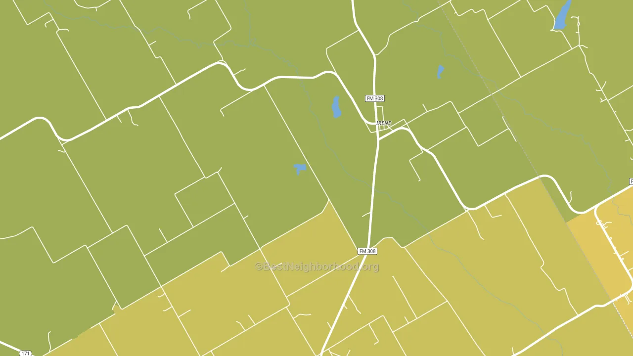 Irene, TX block-group voter-turnout map