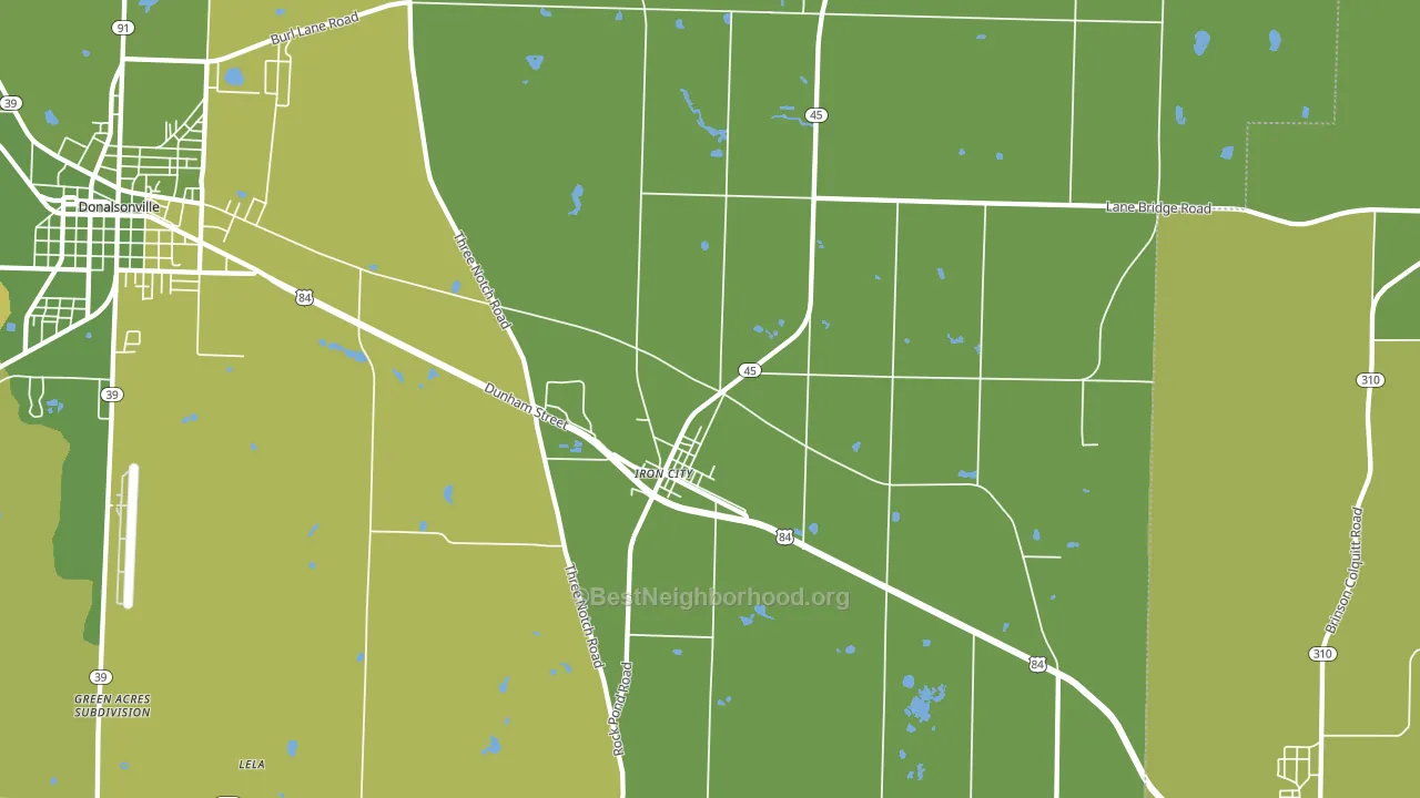 Iron City, GA block-group voter-turnout map