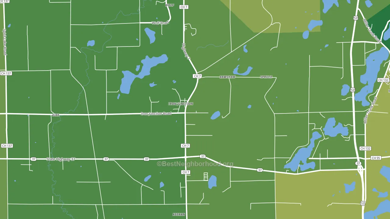 Iron Junction, MN block-group voter-turnout map