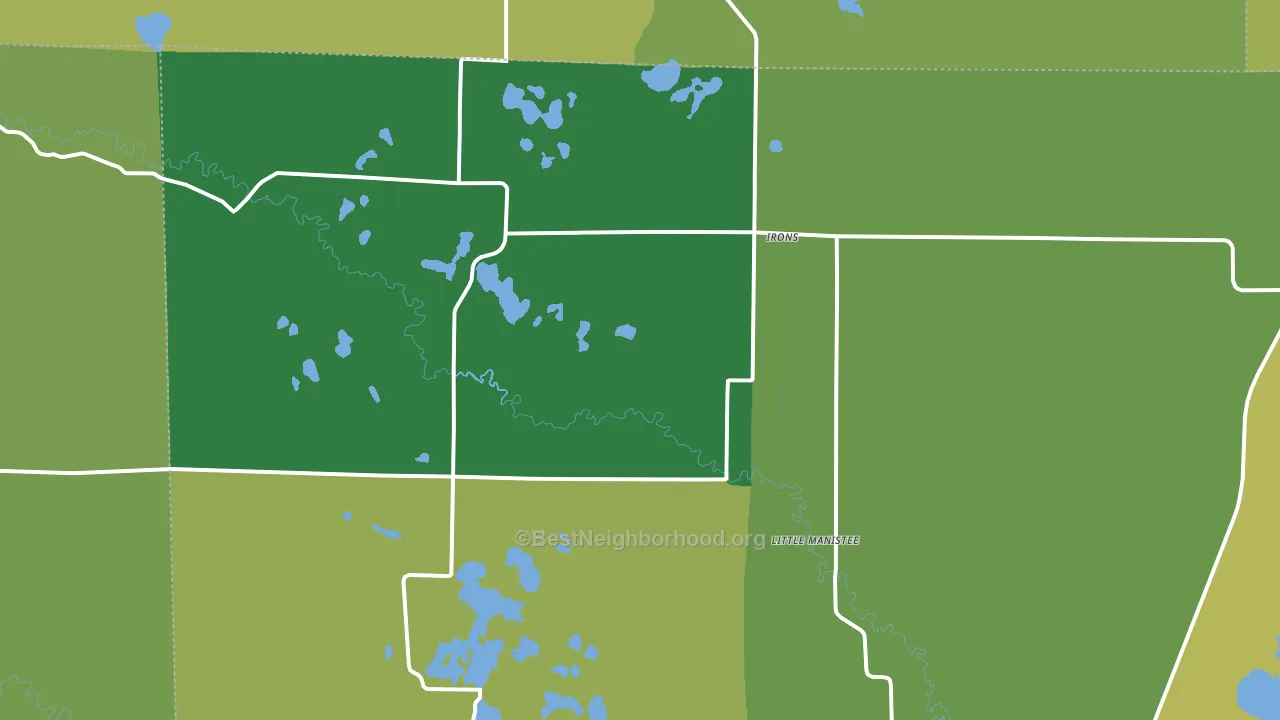 Irons, MI block-group voter-turnout map