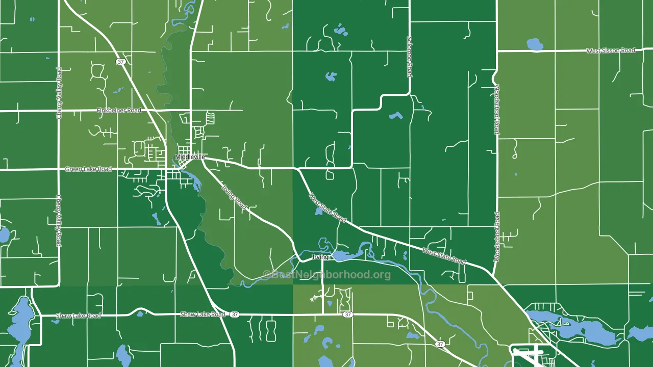 Irving, MI block-group voter-turnout map