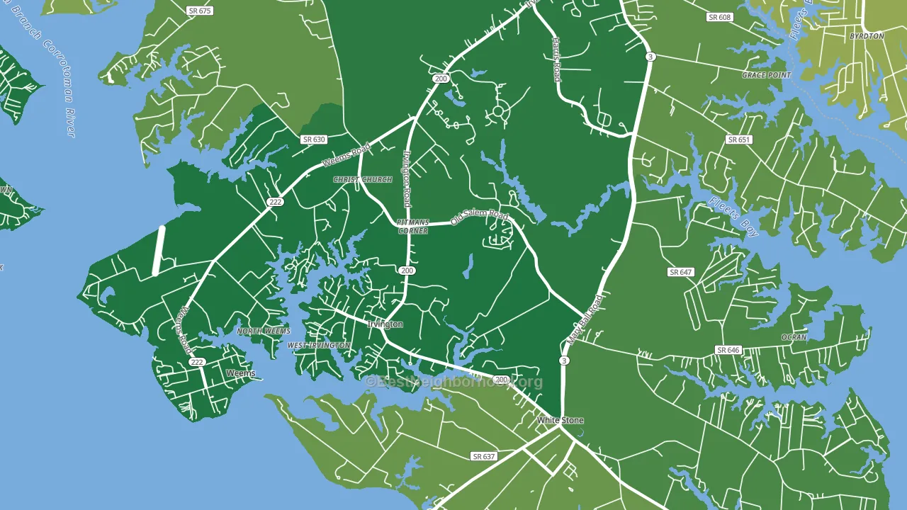 Irvington, VA block-group voter-turnout map
