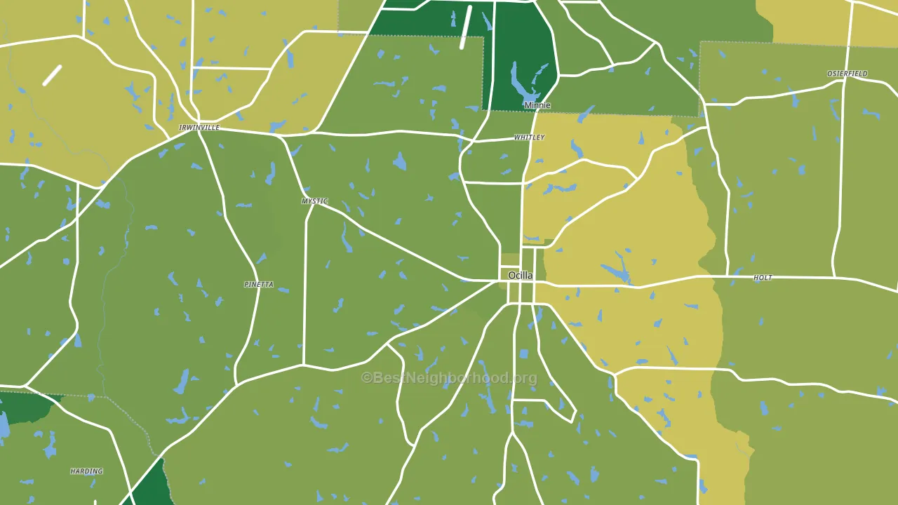 Irwin County, GA block-group voter-turnout map