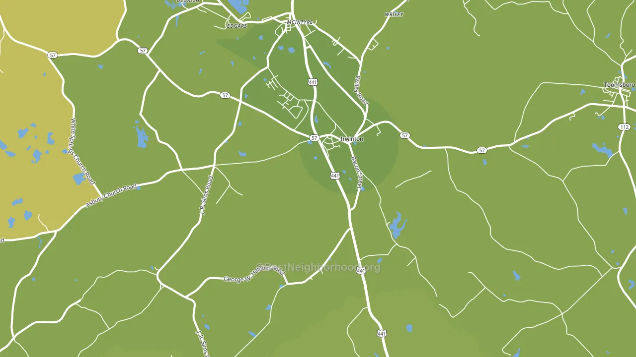 Irwinton, GA block-group voter-turnout map
