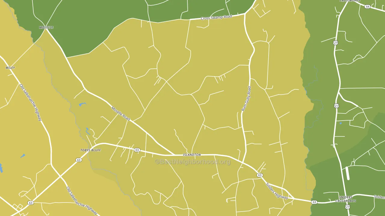 Islandton, SC block-group voter-turnout map