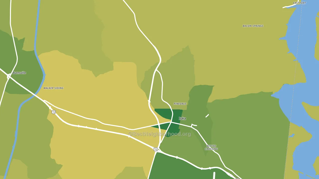Iuka, MS block-group voter-turnout map