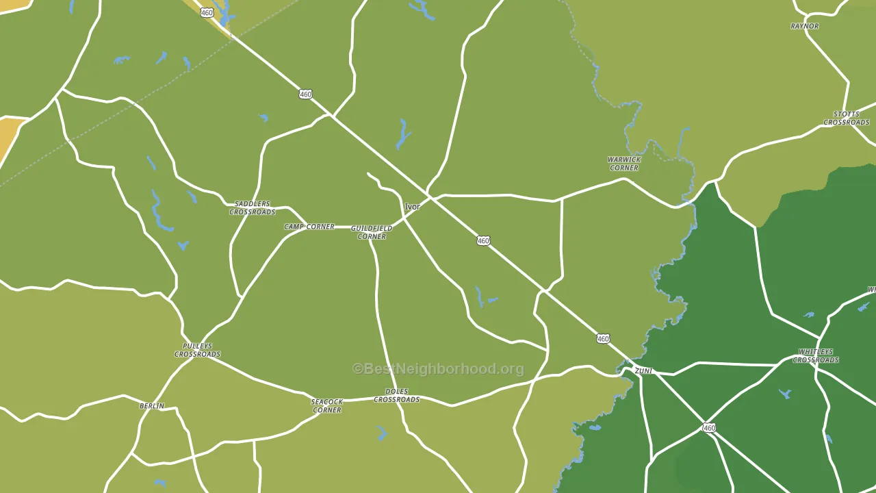 Ivor, VA block-group voter-turnout map
