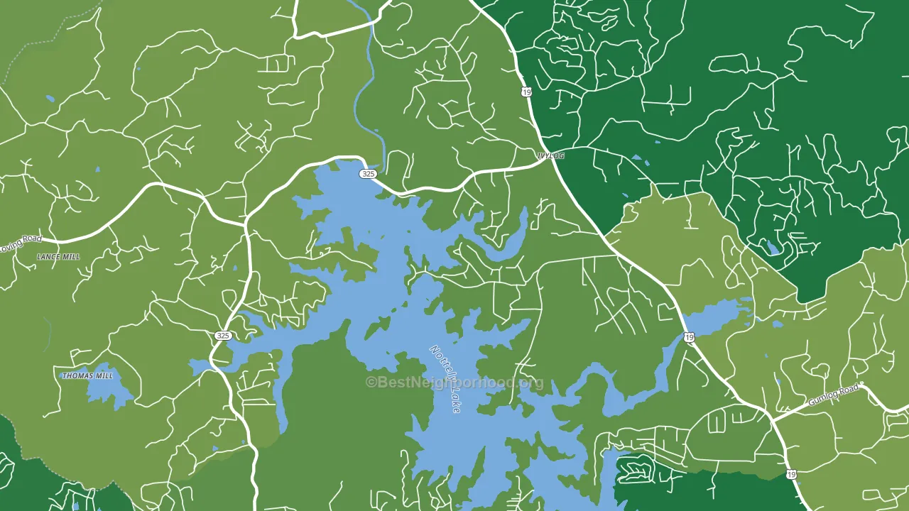 Ivy Log, GA block-group voter-turnout map