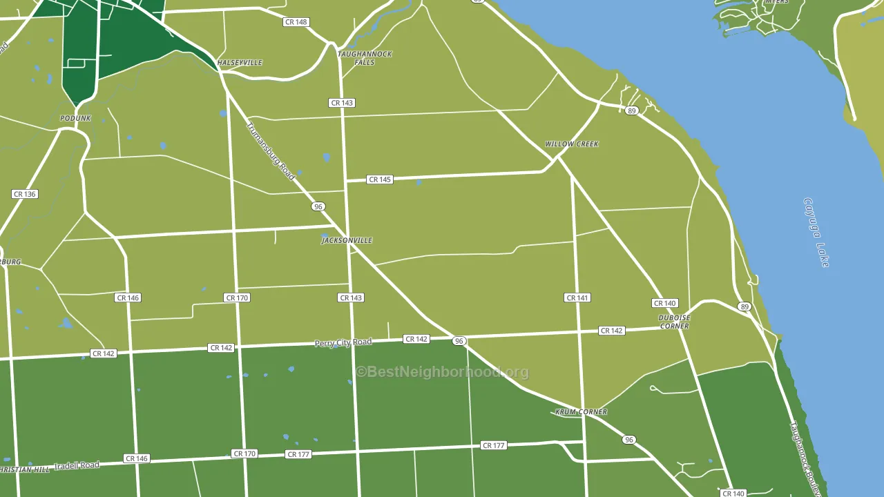 Jacksonville, NY block-group voter-turnout map