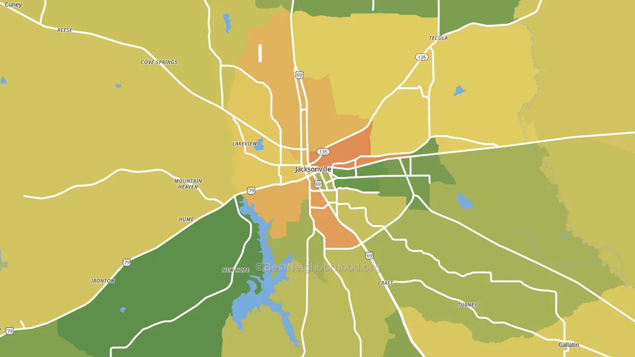 Jacksonville, TX block-group voter-turnout map