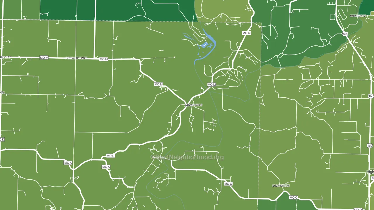 Jamesville, MO block-group voter-turnout map