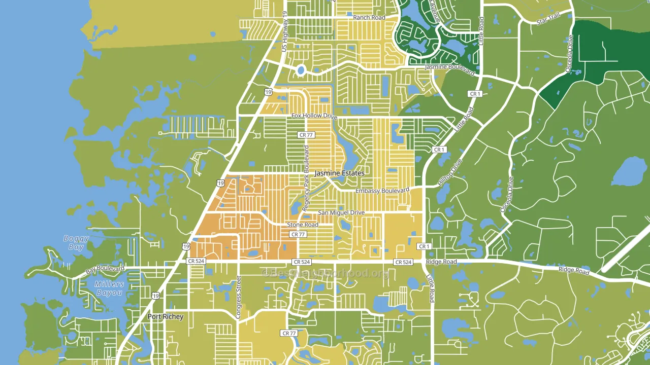 Jasmine Estates, FL block-group voter-turnout map