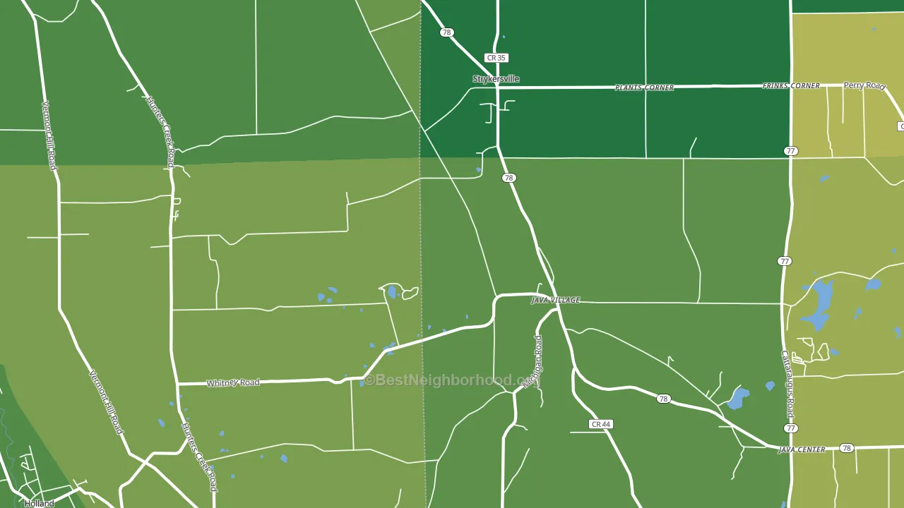 Java Village, NY block-group voter-turnout map