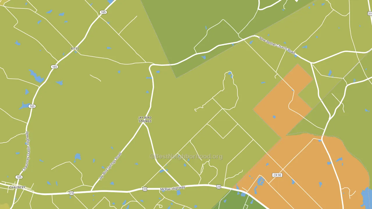 Jay Bird Springs, GA block-group voter-turnout map