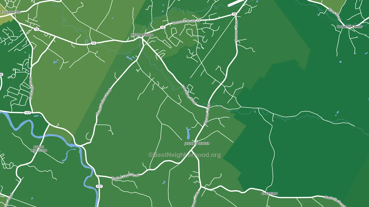 Jericho, VT block-group voter-turnout map