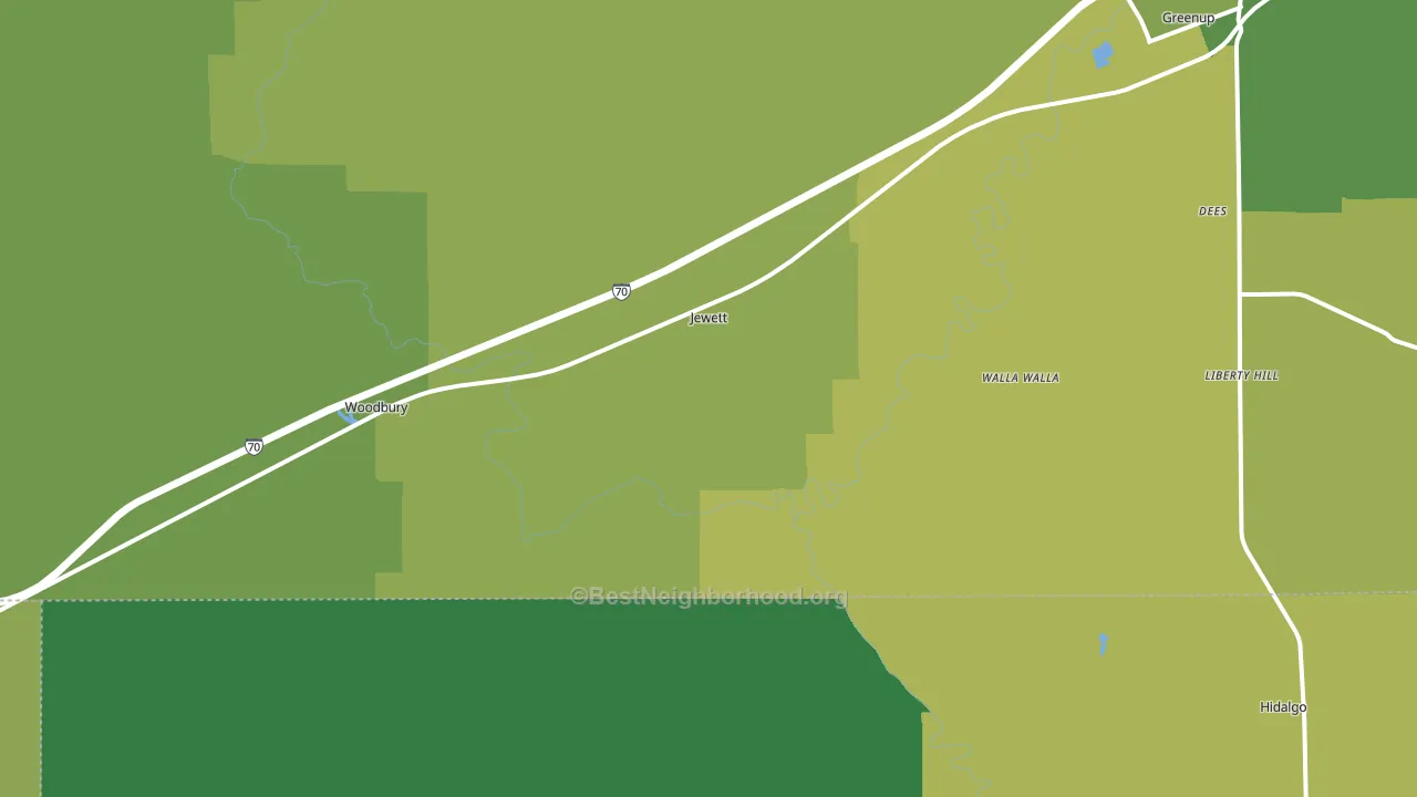 Jewett, IL block-group voter-turnout map
