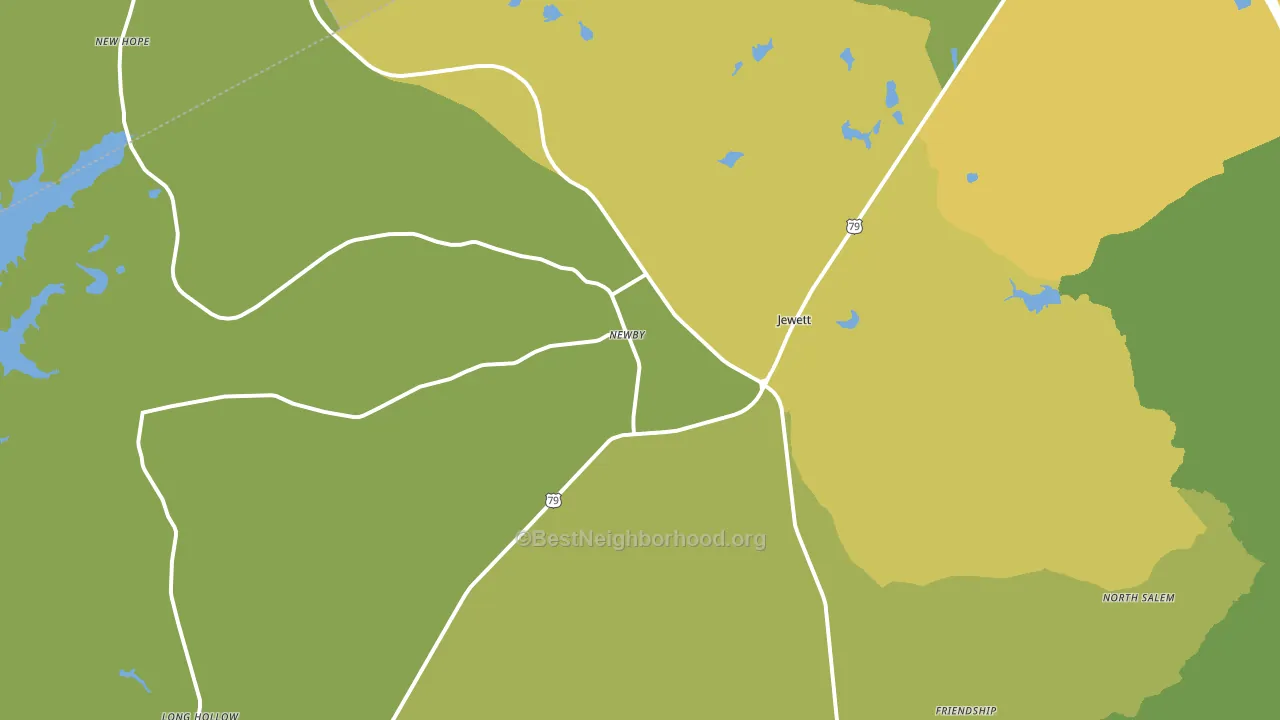 Jewett, TX block-group voter-turnout map