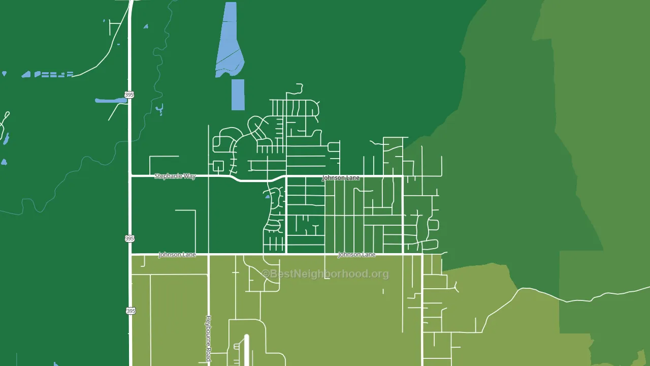 Johnson Lane, NV block-group voter-turnout map