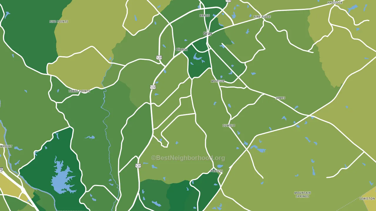 Jones County, GA block-group voter-turnout map