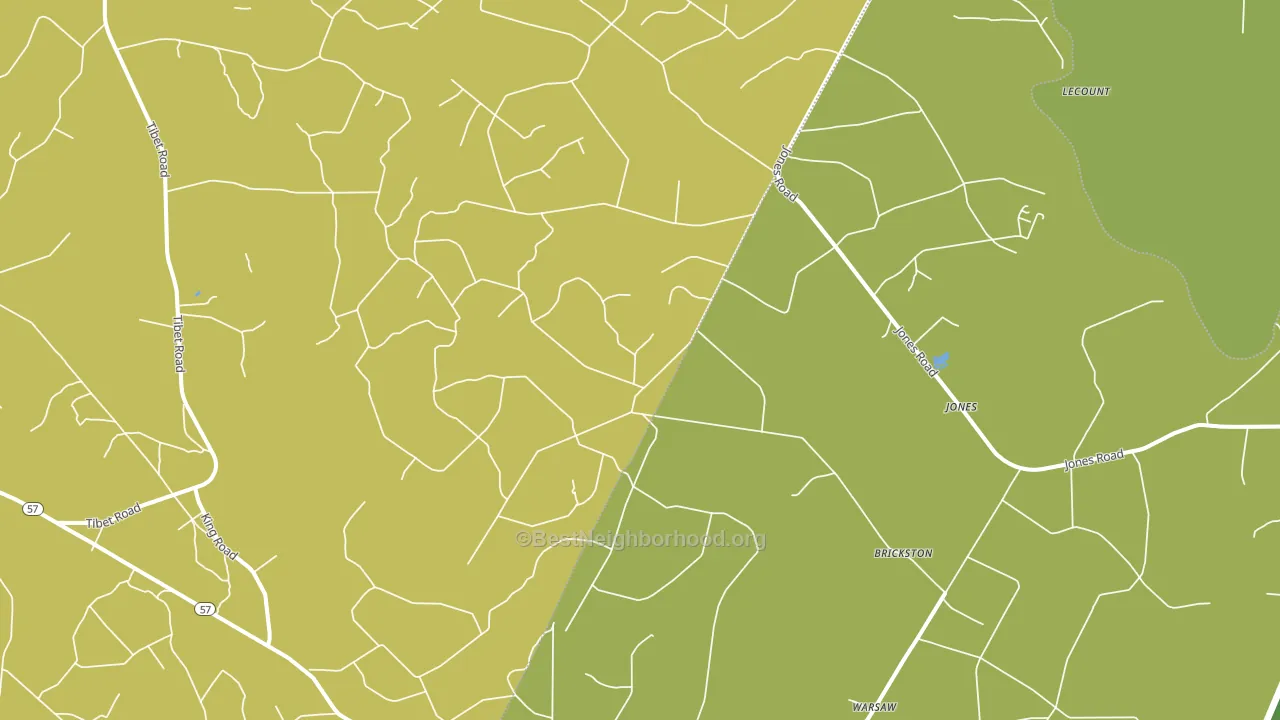 Jones, GA block-group voter-turnout map
