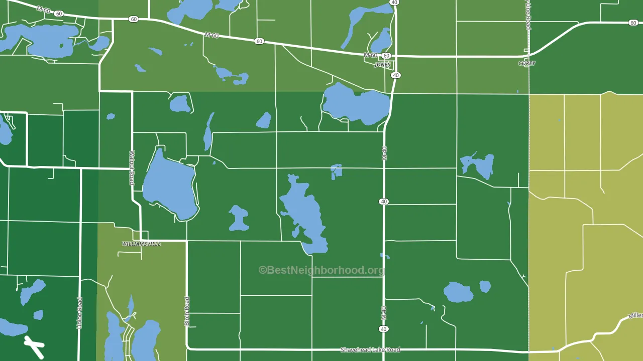 Jones, MI block-group voter-turnout map