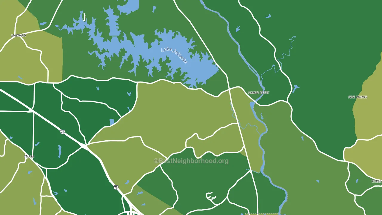 Juliette, GA block-group voter-turnout map