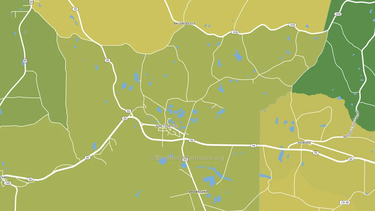 Junction City, GA block-group voter-turnout map
