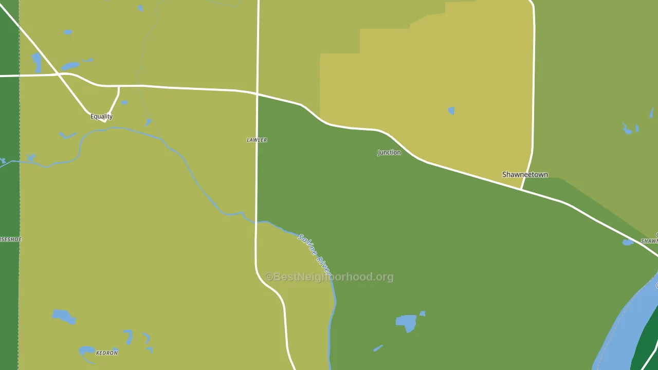 Junction, IL block-group voter-turnout map