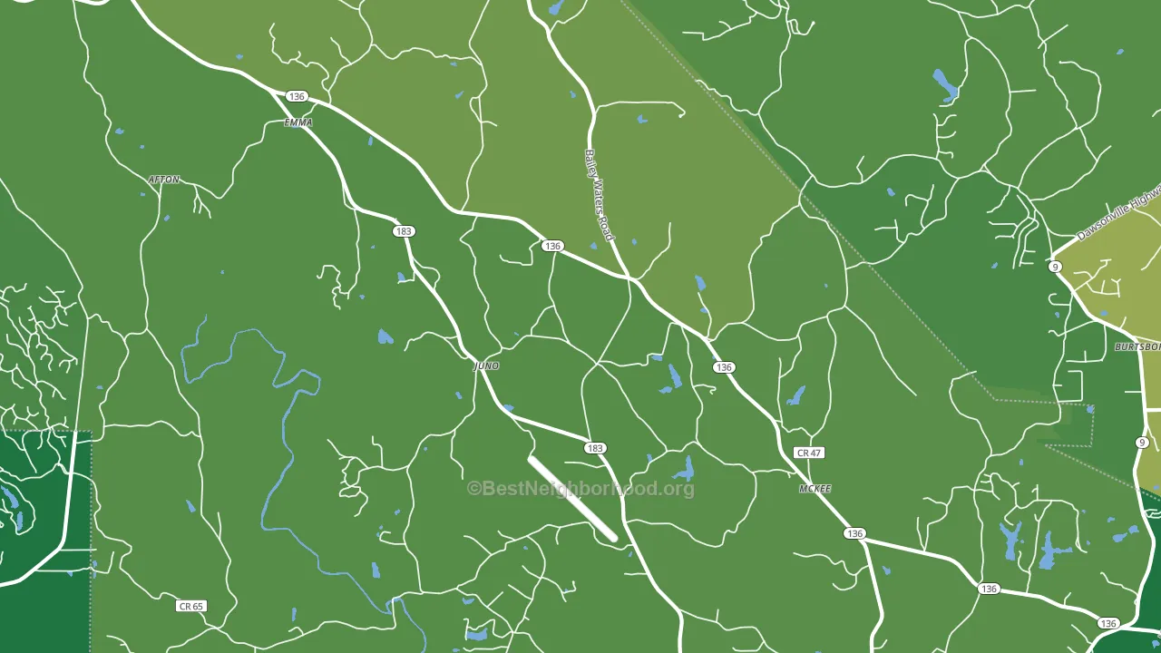 Juno, GA block-group voter-turnout map
