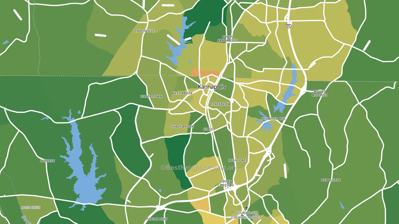 Kannapolis, NC block-group voter-turnout map