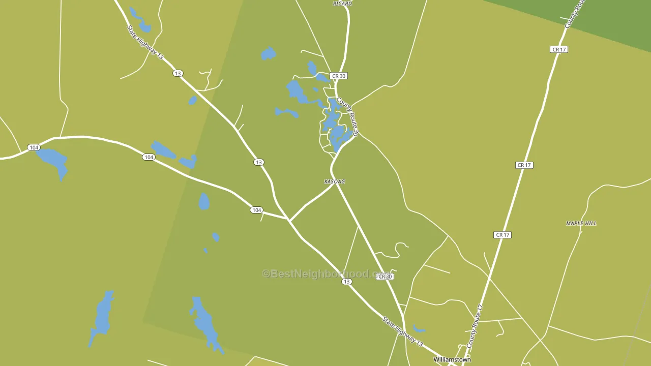 Kasoag, NY block-group voter-turnout map