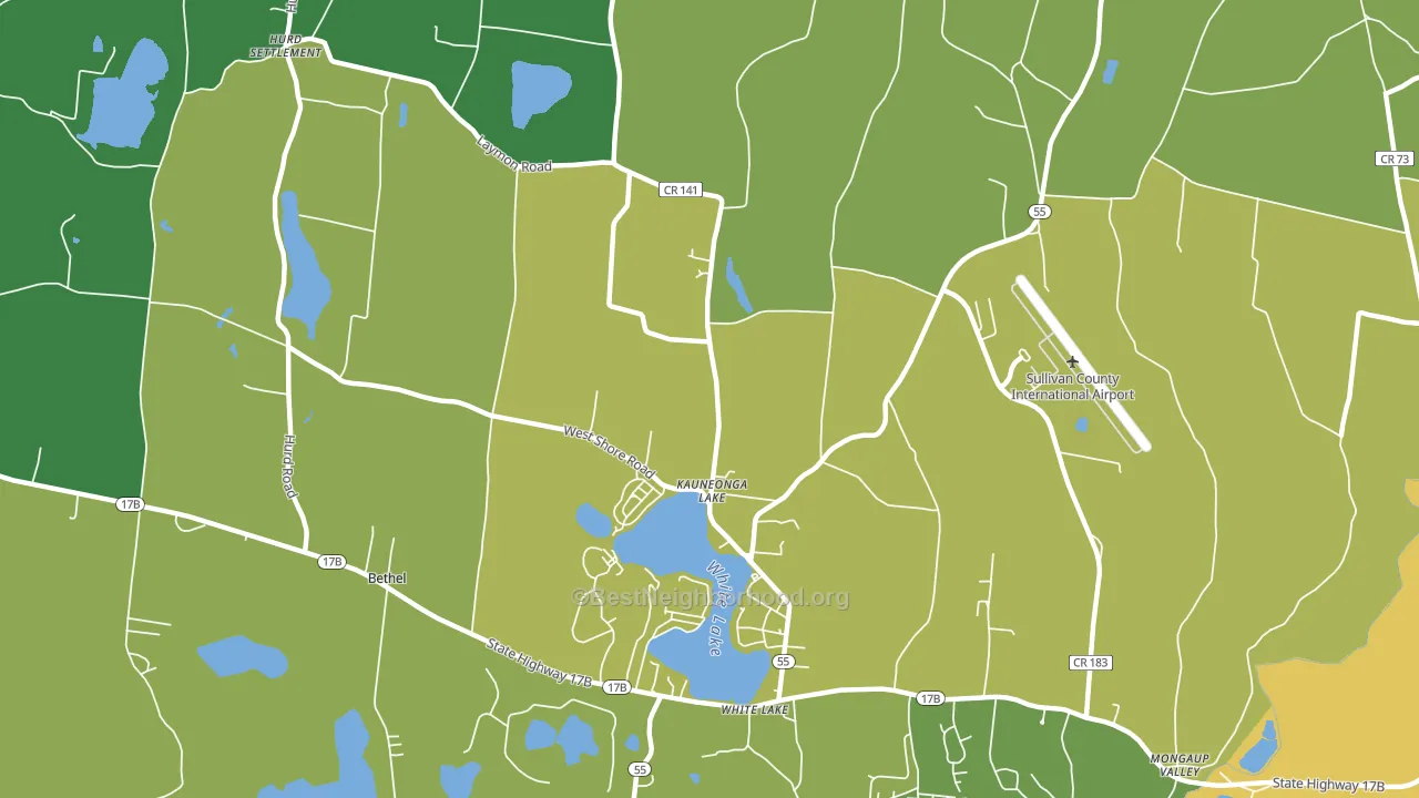 Kauneonga Lake, NY block-group voter-turnout map