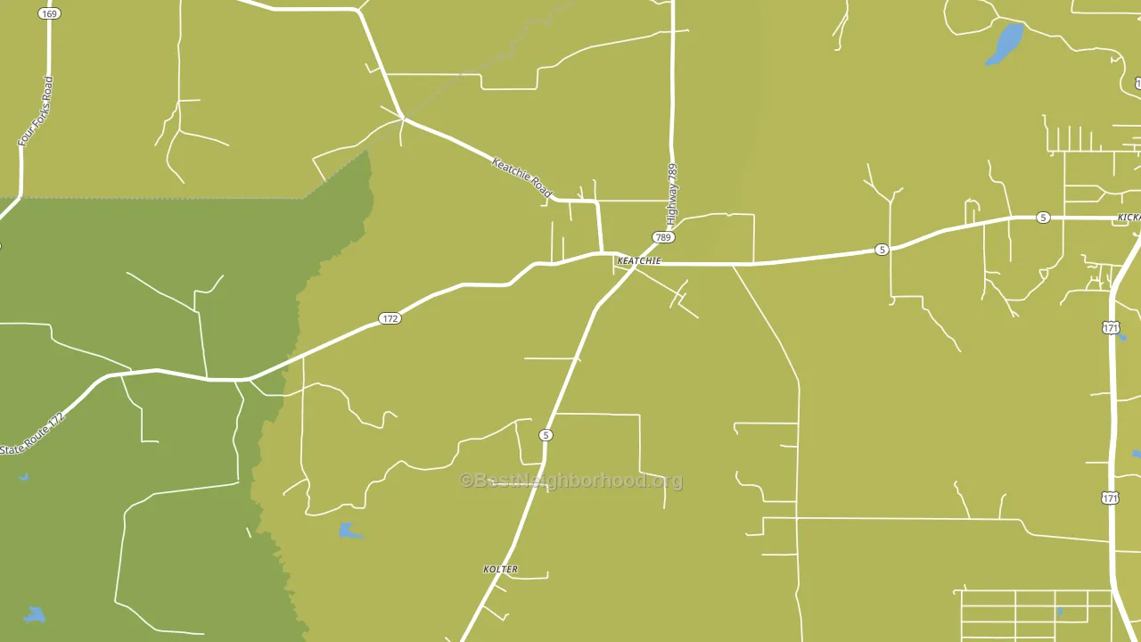 Keachi, LA block-group voter-turnout map
