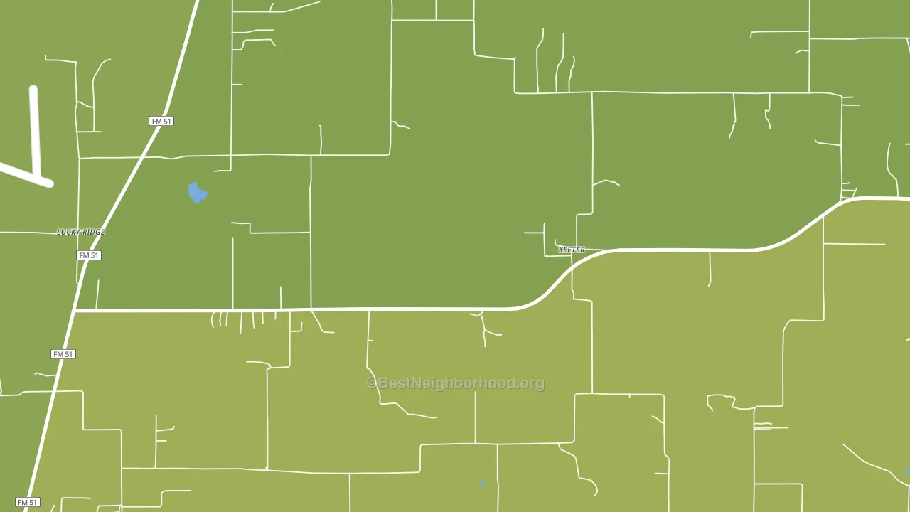 Keeter, TX block-group voter-turnout map