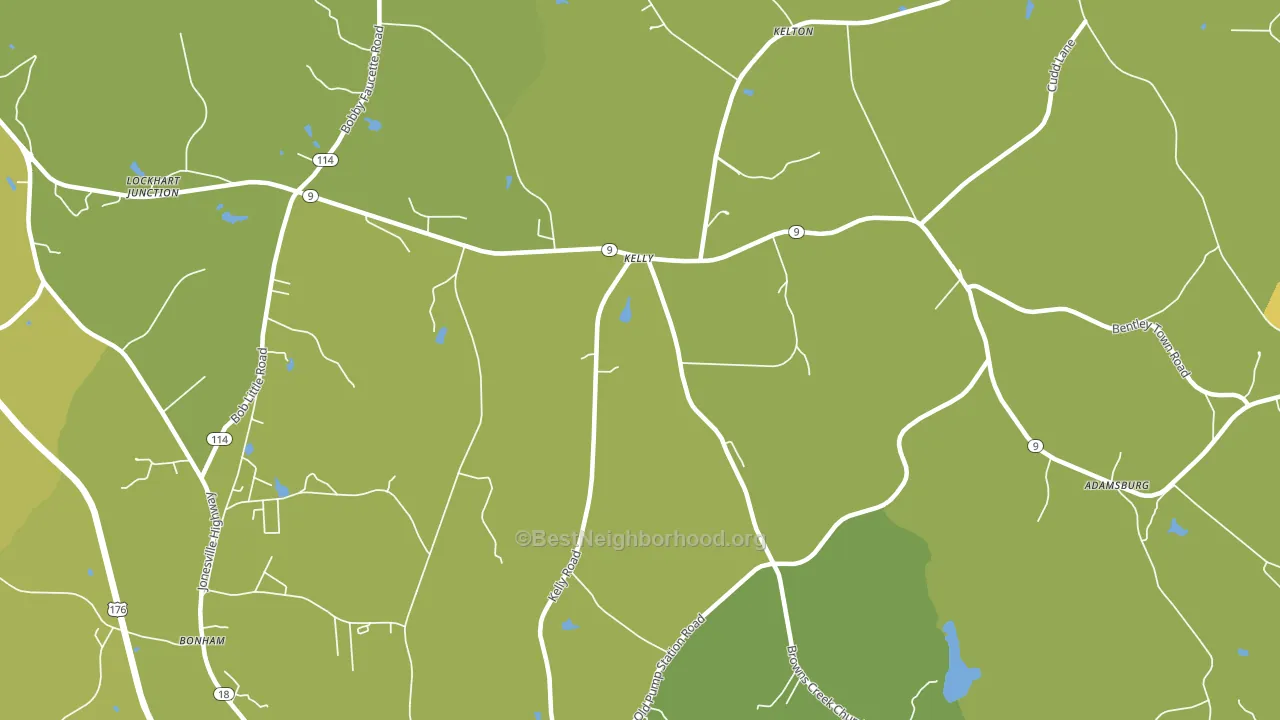 Kelly, SC block-group voter-turnout map