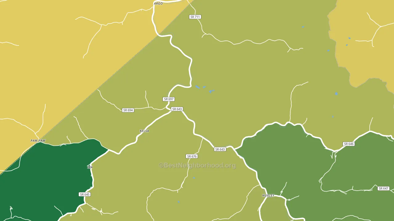 Kelsa, VA block-group voter-turnout map